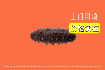 兰陵县回收海参