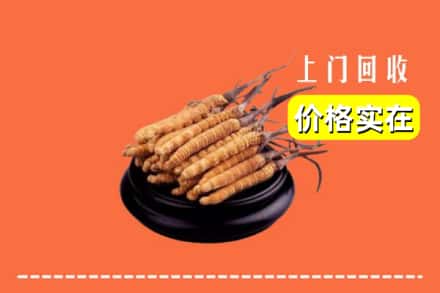 兰陵县回收冬虫夏草